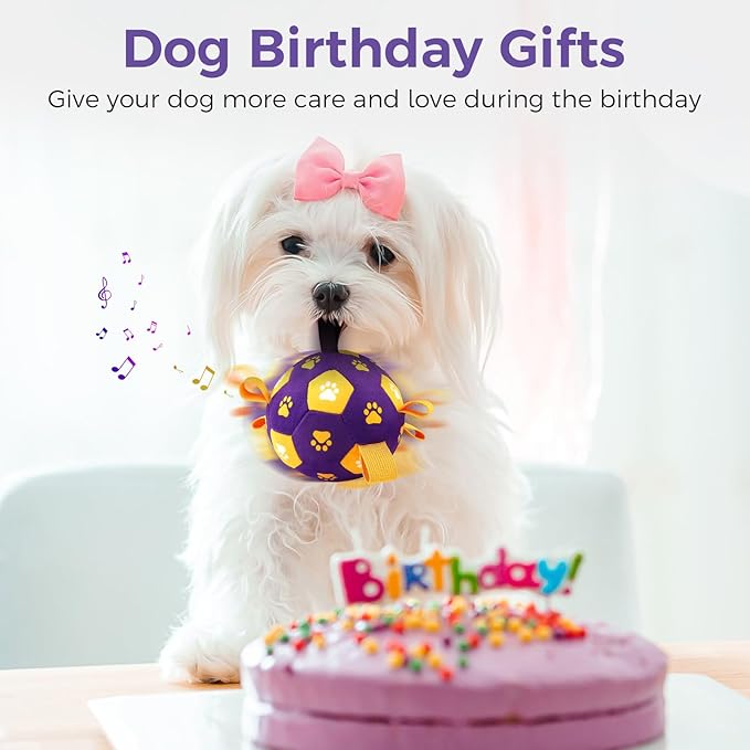 QDAN Interactive Dog Toys, Squeaky Moving Ball Toy with Remote Control, Music Modes Bouncing Ball for Dogs, Rechargeable Dog Toys to Keep Them Busy, Puppy Toys for Small Medium Large