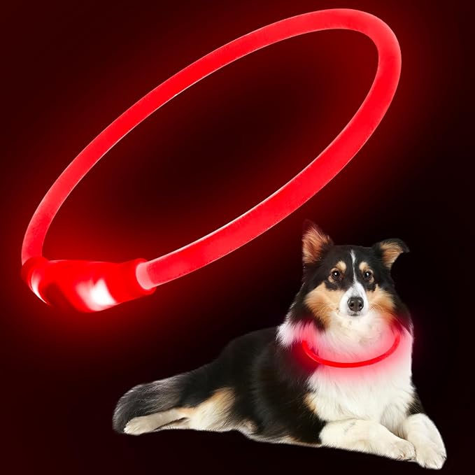 Flashseen LED Dog Collar, USB Rechargeable Glowing Lighted Up Collar, Cuttable Water-Resistant TPU Safety Collar Lights for Small Medium Large Dogs