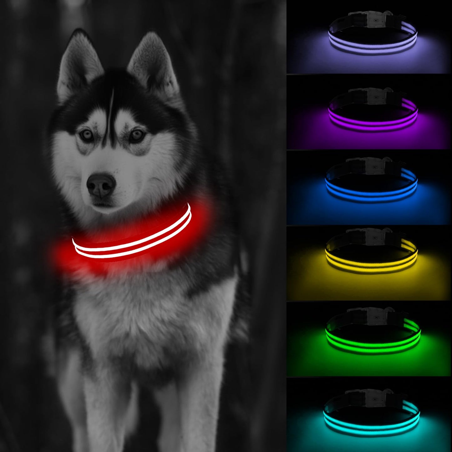 LED Dog Collar, Light Up Dog Collar, Lighted Dog Collars Adjustable for Night Walking, Glow in The Dark Dog Collars Light with USB Rechargeable Color Changing Waterproof for Dogs (Black, Small)
