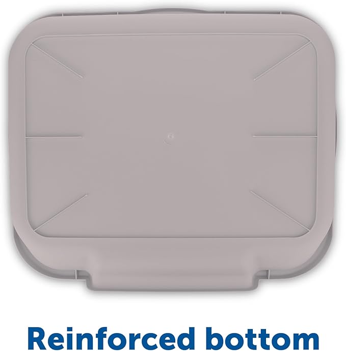 KittyGoHere Senior Cat Litter Box 2 Pack, Large Misty Gray Low Entrance Kitty Litter Box, Sized for Cats Comfort, Perfect for Senior and Arthritic Cats, Made in USA