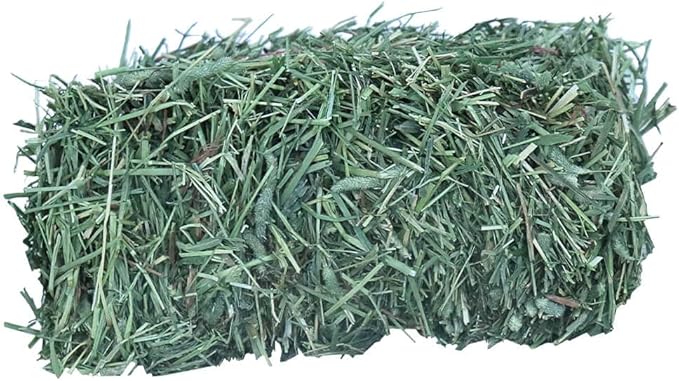 Grandpa's Best Timothy Hay Mini Bale, 10 Lbs (Packaging may vary),Brown