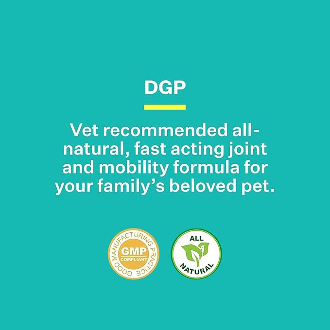 DGP, All-Natural Joint Supplement for Dogs - Joint Support with Turmeric, Boswellia Extract & More - Quick Effect for Pet Mobility Support - 180 Chewable Tablets (Pack of 3)