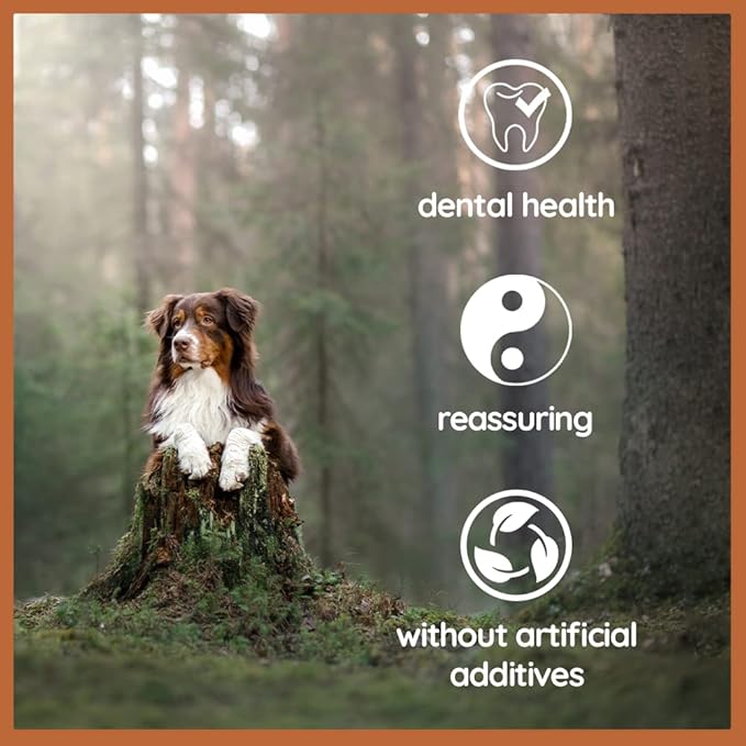 Wildfang® Olive Wood Chewing Sticks for Dogs, Medium - Tough Chew Toys for Aggressive Chewers, Puppy Chew Toys for Teething, Training for Chewing Muscles, Olive Wood Stick for Dog (33-55lbs)