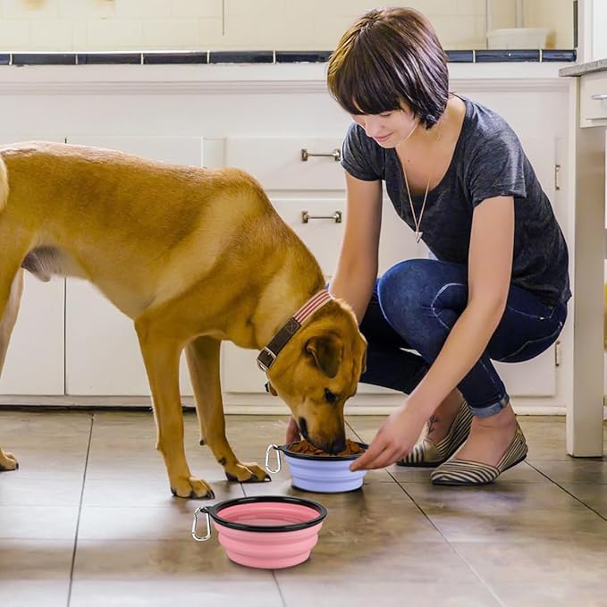 Kytely Collapsible Dog Bowls (1000ml), 2Pack Foldable Travel Bowls, Portable Dog Water Food Bowl with Clasp (Lavender+Pink)
