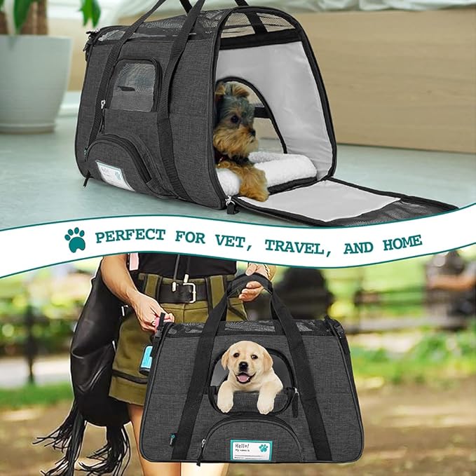 PetAmi Airline Approved Pet Carrier for Cat, Soft Sided Dog Carrier for Small Dog, Cat Travel Supplies Accessories Indoor Cats, Ventilated Pet Carrying Bag Medium Kitten Puppy, Large Heather Dark Gray