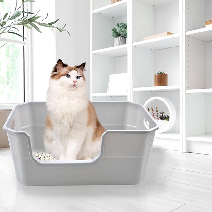 Large Open Cat Litter Box Low Entry,High Sided Cat Litter Pan Anti-Splashing Plastic Kitty Box Grey Kitten Pan with High Wall Easy Clean