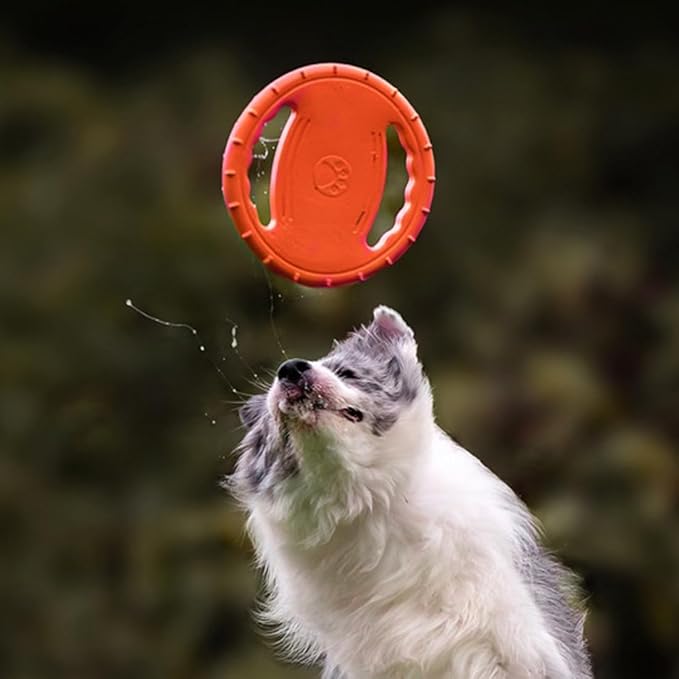 1 Pack Dog Soft Flying Discs Interactive Training Toys, EVA Material Lightweight Pet Supplies, Floats in Water, Great for Beach and Pool (Green)