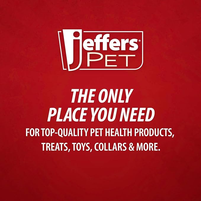 Jeffers Pet Stainless Steel Dog Bowl – No Skid, No Tip Food & Water Bowls for Puppies, Small, Medium, Large Breeds – Heavy Duty, Dishwasher Safe Feeder for Indoor, Outdoor, Travel Use – 1 Quart