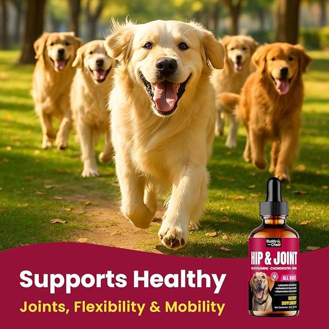 Glucosamine for Dogs, Liquid Hip and Joint Supplement, Chondroitin Drops for Dogs, Joint Drops for Dog, Dog Supplement for Mobility Pain Relief - 60ml