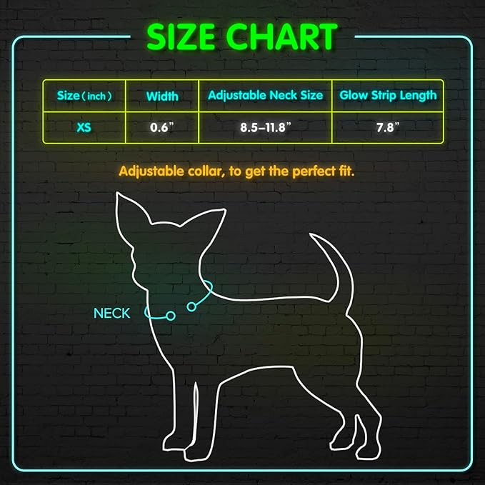 BSEEN Light Up Dog Collars - Glowing LED Dog Collar Rechargeable Puppy Collar for Small Dogs & Cats, Safety Dog Lights for Night Walking (Green)