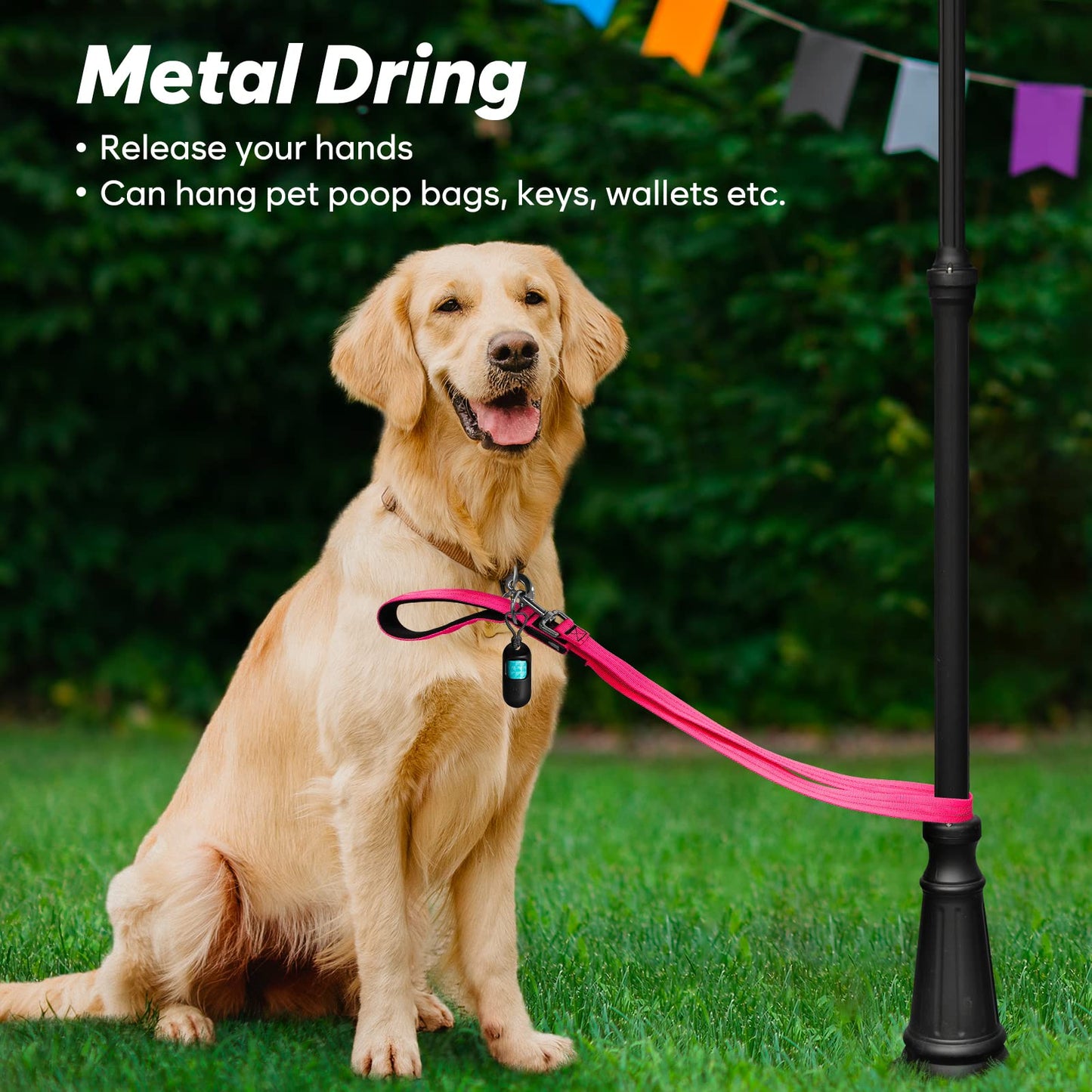 KOSKILL 4 Ft Led Dog Leash, Rechargeable Light Up Dog Leash Waterproof, Safety Glow in The Dark Dog Leash for Night Walking, Nylon Reflective Leashes with Padded Handle for Small Medium Large Pets