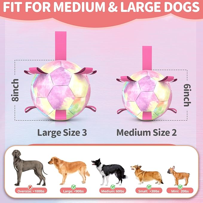 QDAN Premium Dog Toys Soccer Ball with Straps, Puppy Balls for Small Medium Dogs, Dog Water Toys Pool Toys, Puppy Dogs Pet Birthday Gifts, Rainbow(6 Inch)