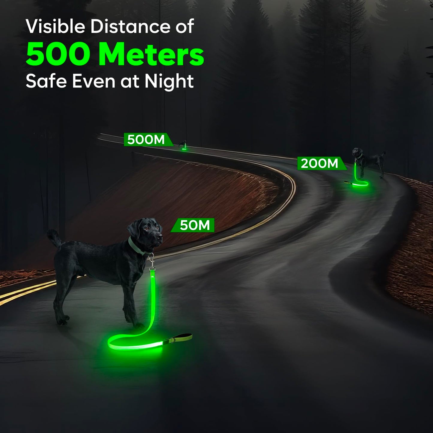 Kpuplol LED Dog Leash, 4 Ft Light Up Dog Leash USB Rechargeable Waterproof, Nylon Reflective Leashes with Padded Handle, Safety Glow in The Dark Pet Lights for Large Medium Small Pet(Green)