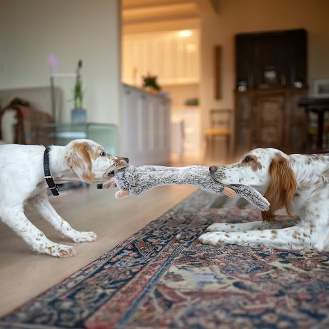 SHARLOVY Dog Squeaky Toys No Stuffing 5 Pack, Plush Crinkle Dog Toys for Large Breed, Durable Doggie Chew Cute Animals Puppy Toy for Teething