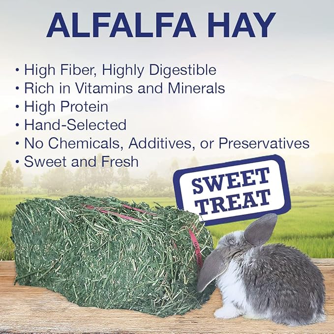 Grandpa's Best ALF10 10 lb Alfalfa Hay Bale (Packaging may vary )