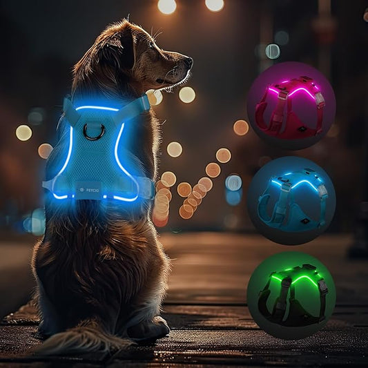 Light Up Dog Harness,Reflective Pet Harness Rechargeable,Led Dog Vest Harness for Night Walking,Adjustable Dog Safety Vest for Small Medium Large Dogs-No Pull,Blue,XL