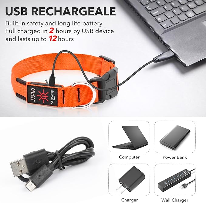 Illumifun LED Dog Collar, Adjustable Light Up Dog Collars, USB Rechargeable Water-Resistant Glowing Safety Collar Light (Orange, Small)