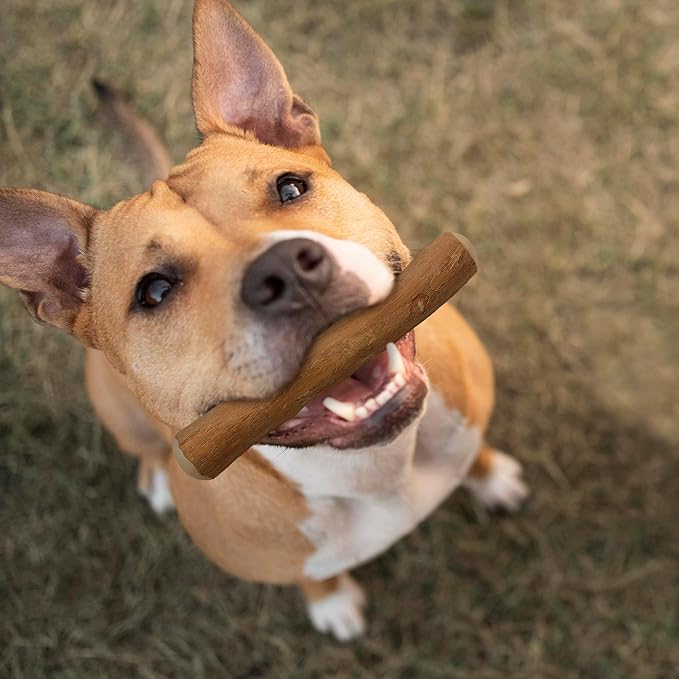 Wildfang® Coffee Wood Dog Chew, Medium - Tough Chew Toys for Aggressive Chewers, Dog Teething Toys for Puppies, Training for Chewing Muscles, Coffee Tree Sticks for Medium Dogs (33-55 lbs)