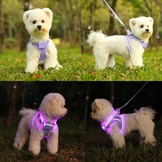 Light Up Dog Harness,Rechargeable LED Dog Harness for Small Medium Large Dogs,Reflective Lighted Safety Vest for Night Walking & Camping,Lightweight & Adjustable,Lavender Purple,M