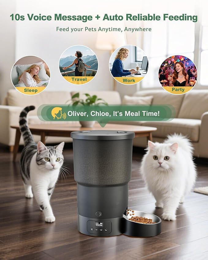 Gimars 5L/20 Cups Automatic Cat Feeder, Programmable 1-6 Meals Cat Food Dispenser with Stainless Steel Bowl, Easy Setup, Dual Power Supply,10s Meal Call Timed Pet Feeder for Cats and Small Dogs