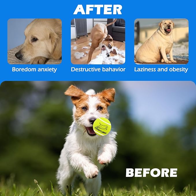 EXPAWLORER Tennis Toys for Dogs, 2.5 Inch Dog Toy Tennis Balls with Squeaker, 12 Pack Interactive Squeaky Dog Balls for Aggressive chewers,Perfect Pet Toy for Small, Medium + Large Dogs