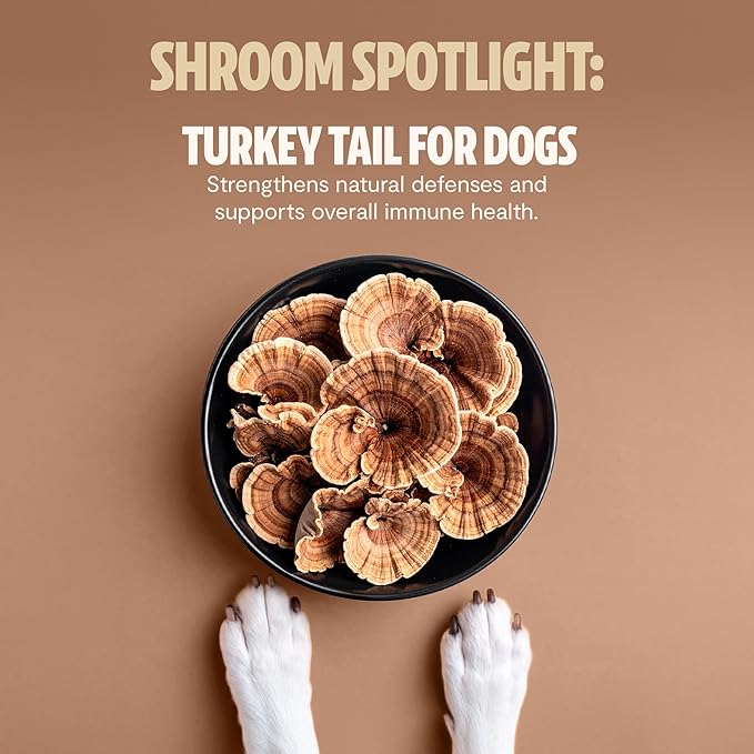 FreshCap Mushrooms Shroomies - 13 in 1 Turkey Tail Mushroom for Dogs, Super Blend Mushroom Supplement for Dogs, Dog Immune Support, Calming Treats (180 Soft Chews)