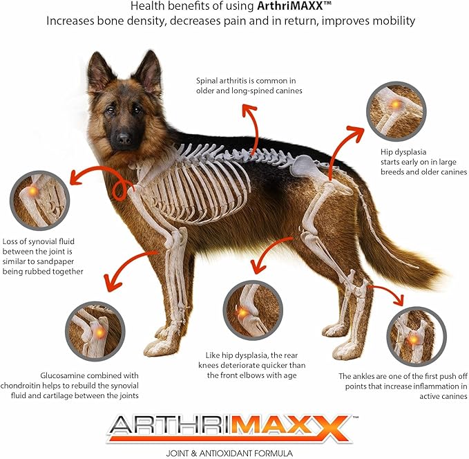 Dog Supplements for Joint Inflammation & Arthritis, Naturally Potent Dog Joint Care, Delicious Soft Chews with Turmeric, Omega 3, & Glucosamine for Dogs, Natural Liver Flavor, 120 Pc