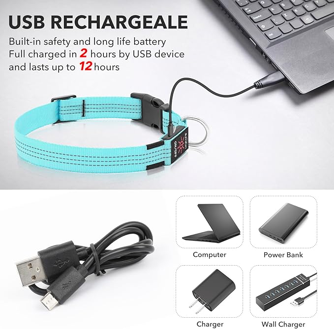 Illumifun LED Dog Collar, Reflective Light Up Collars for Small Dog, USB Rechargeable Pet Collar Light for Dogs Walking Camping (Blueā
¢, Small)