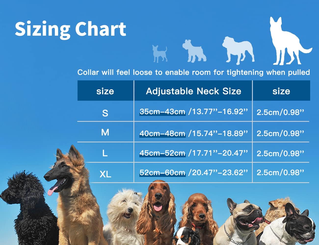 Omni Soulmate LED Dog Collar - Light Up Collars for Night, Personalized, Small & Large Dogs