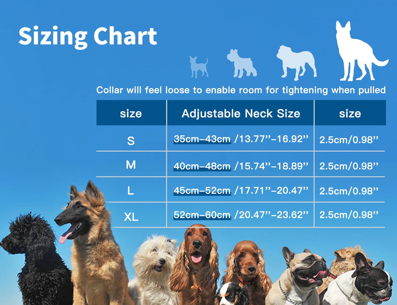 Omni Soulmate LED Dog Collar - Light Up Collars for Night, Personalized, Small & Large Dogs