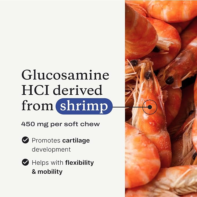 PetLab Co. Joint Care Chews - High Levels of Glucosamine for Dogs, Green Lipped Mussels, and Omega 3 - Dog Hip and Joint Supplement to Actively Support Mobility - Packaging May Vary - Salmon