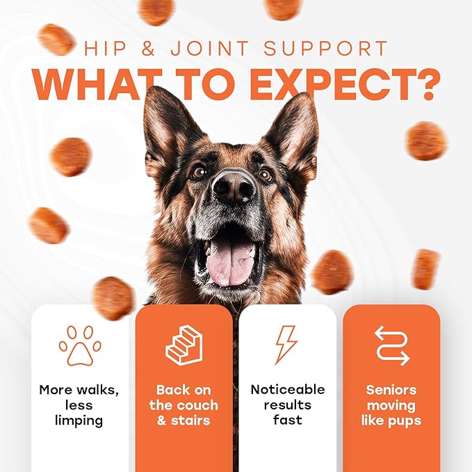 Glucosamine for Dogs 500mg – Hip & Joint Support Treats with Collagen, Chondroitin & Turmeric – PhD Endorsed Formula - Mobility Supplement for Dogs – 140 Chews – Beef Flavor – Made in USA