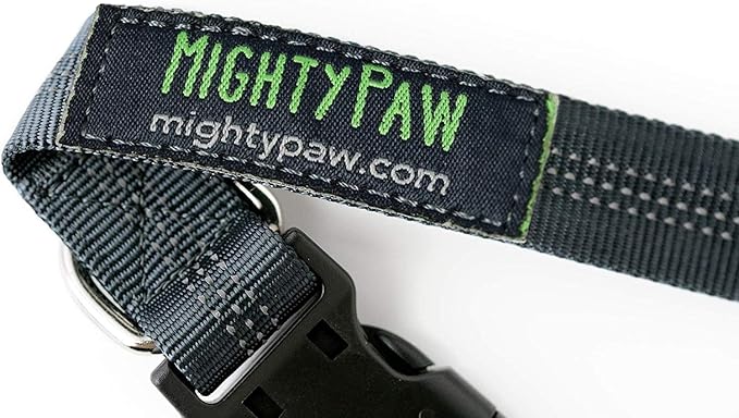 Mighty Paw Hands Free Dog Leash | Bungee Waist Leash for Dog Walking. Pet Running Hands Free Tether for Large, Medium & Small Breeds. Pet Waist Belt (36" - 48") Up to 150 lbs - Gray