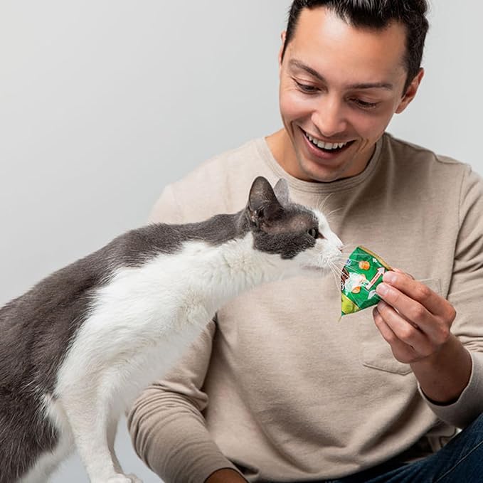 INABA Churu Fun Bites for Cats, Soft & Chewy Cat Treats with Taurine, 0.42 Ounces Each Tetra, 18 Tetras (3 per Bag), Tuna with Cheese Recipe