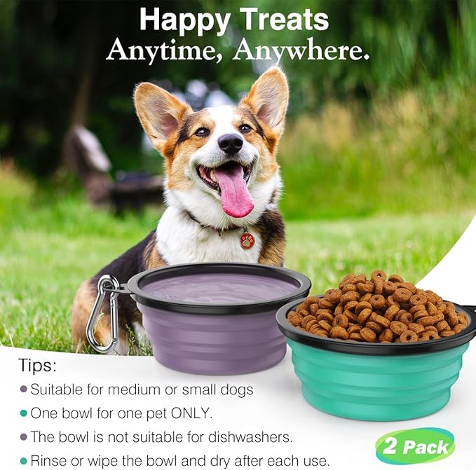 Pawaboo Collapsible Dog Bowls 2 Pack, Silicone Feeding Watering Bowls with Lids & Carabiners for Dogs Cats, Portable Collapsable Water Feeder Food Bowl for Walking Traveling Home Use, VioletTurquoise
