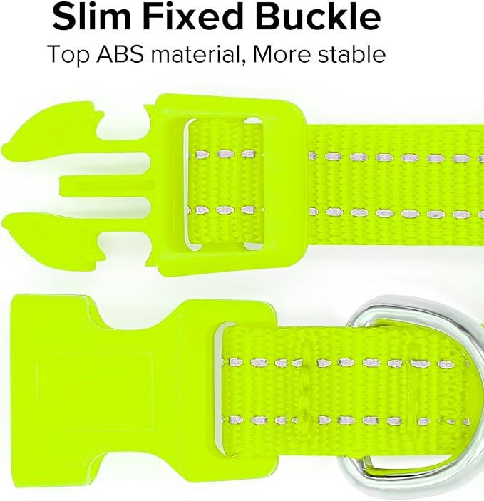 BSEEN Light Up Dog Collars - Glowing LED Dog Collar Rechargeable Puppy Collar for Small Dogs & Cats, Safety Dog Lights for Night Walking (Green)