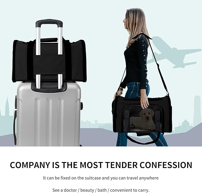 Mile High Life | Outdoor Travel Pet Carrier | Kitty Puppy Cat Carriers | Collapsible Dog Carrier for Small Medium Dogs | Cat Crates w Breathable Mesh with Soft-Sided (Black, Medium)