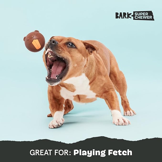 Barkbox Ricochet The Nutria Dog Toy – All-Rubber Design with Fun Squeak, Perfect for Enthusiastic Chewers and Durable Playtime