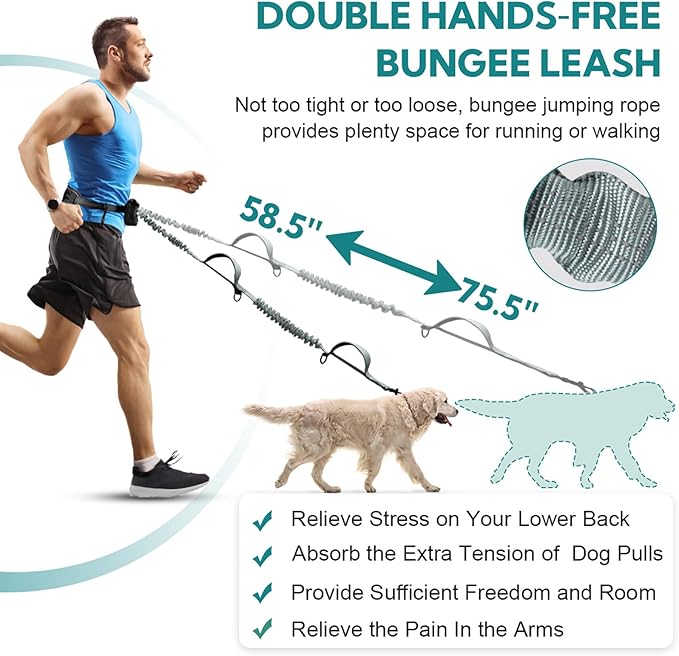 Hands Free Dog Leash with Pouch, Double Leash for Two Dogs, Retractable Bungee with Double Padded Handles, Dog Waist for Dog Walking, Running for Dogs, Dog Walking Accessories