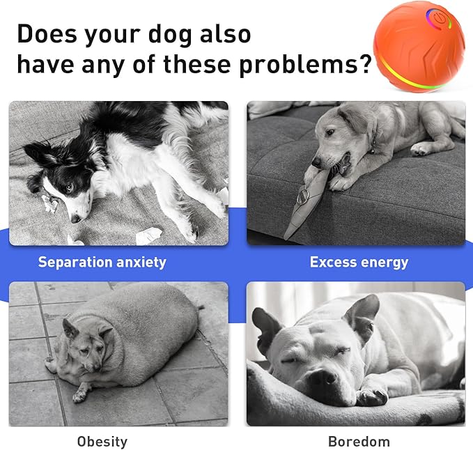 2026 T01 Interactive Dog Toys Dog Ball, Automatic Rolling and Bouncing Moving Dog Toy, Durable and USB Rechargeable, Fun Smart Toy for Puppy, Small, Medium and Large Dogs, Dog Toys to Keep Them Busy