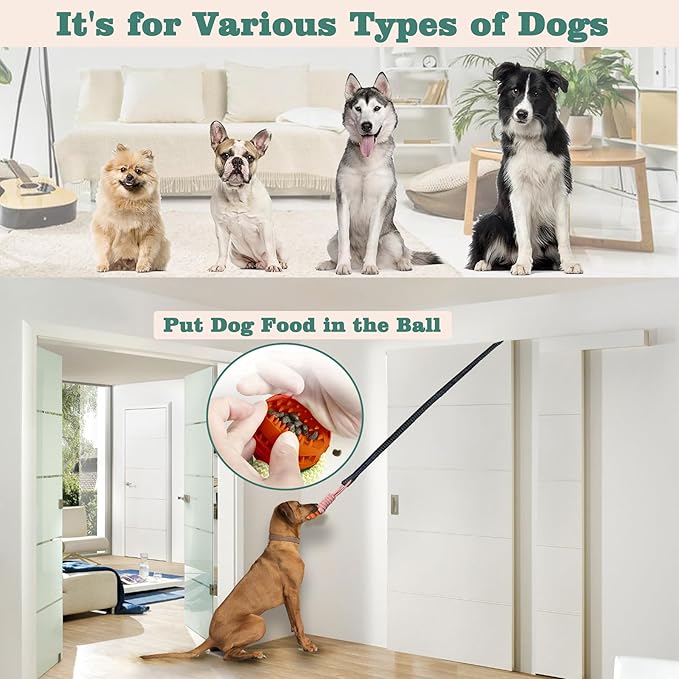 GTIIAS Interactive Dog Toys Tug of War Dog Toy for Small/Medium/Large Dogs,Teething Rope for Teeth Cleaning,Puzzle Ball for Chewing,Dog Bungee Tug Toy Kit, blue