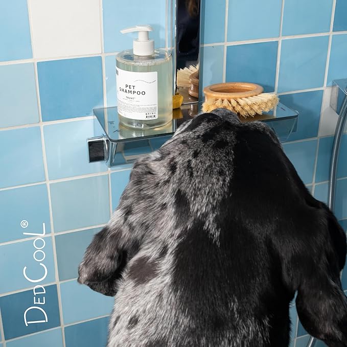 DedCool Pet Shampoo (01 Taunt, 16.9 oz) Tear-Free, for Sensitive Skin, Hypoallergenic, Dry Skin & Itch Relief, Deodorizing Shampoo & Conditioner for Dogs & Cats, Vegan, Clean, Non-Toxic