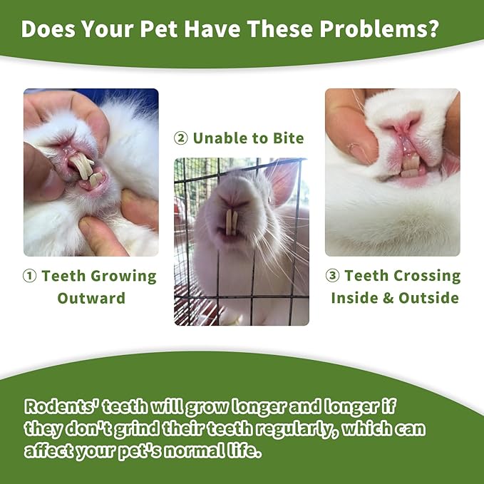 Fhiny Rabbit Chew Toys, 8 PCS 2" Natural Papaya Wood Chew Sticks Guinea Pig Treats for Dental Care Bunny Treats for Rabbits Small Pet Molar Snacks for Bunny Guinea Pig Chinchilla Hamster Gerbil