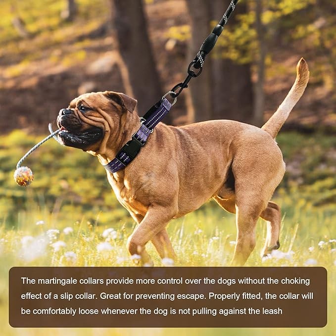 Hikiko Martingale Collar for Dogs Reflective Nylon Dog Collar with Quick Release Buckle Adjustable Training No Slip Dog Collar (X-Large, Purple)