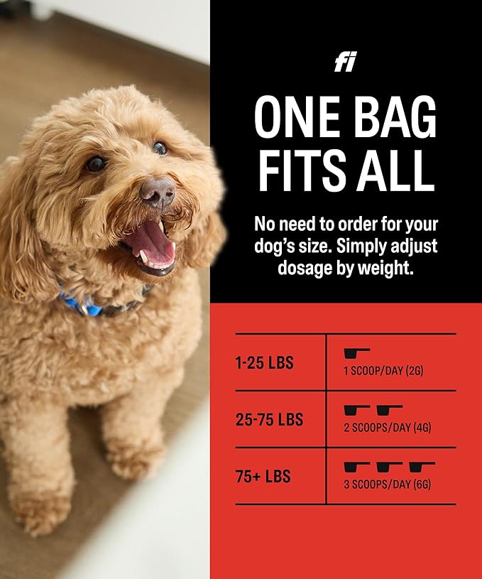 Fi Hip & Joint Supplement for Dogs | Powder Joint Support | Glucosamine, Chondroitin & MSM, Krill, Zinc | Promotes Mobility, Flexibility, Bone and Cartilage Health | Vet-Formulated | 90 Scoops