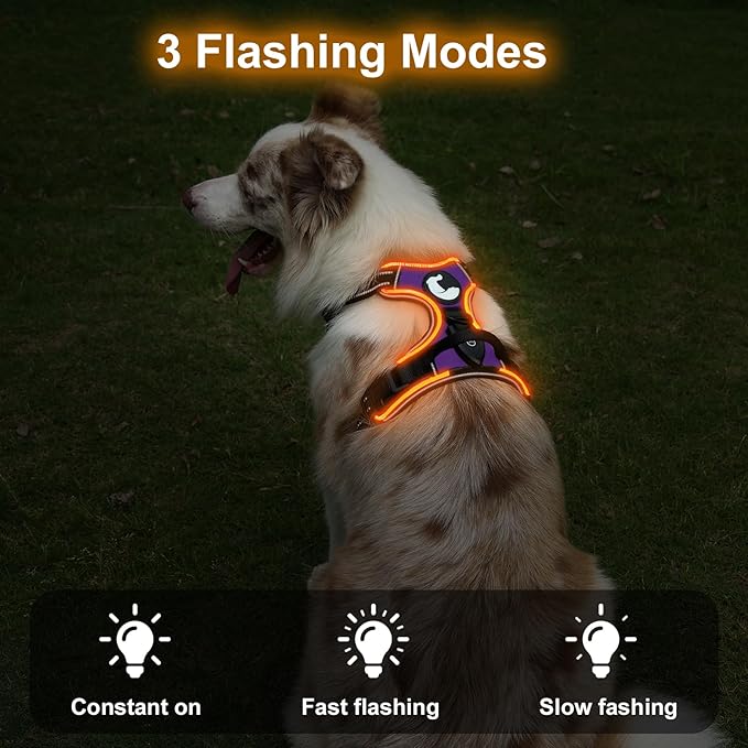 Taglory Light Up Dog Harness, Rechargeable No Pull Dog Vest with 3 Lightning Modes, Reflective Dog Harness with 2 Leash Clips & 4 Adjustable Slide Strips for Large Dogs, Purple-Orange, L