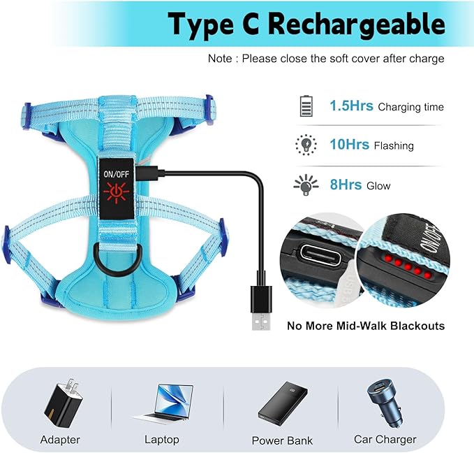 Rechargeable Light Up Dog Harness for Small Dogs – Adjustable LED Dog Vest with Reflective Strips, No Pull Glow in The Dark Puppy Harness for Night Walking Safety-Blue