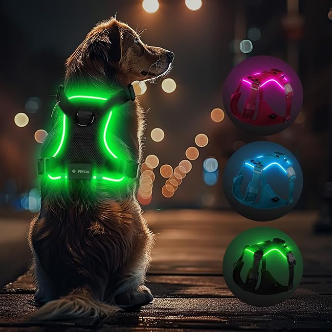 Light Up Dog Harness,Reflective Pet Harness Rechargeable,Led Dog Vest Harness for Night Walking,Adjustable Dog Safety Vest for Small Medium Large Dogs-No Pull,Black,XL