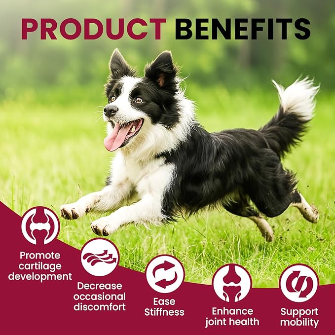 Glucosamine for Dogs, Liquid Hip and Joint Supplement, Chondroitin Drops for Dogs, Joint Drops for Dog, Dog Supplement for Mobility Pain Relief - 60ml