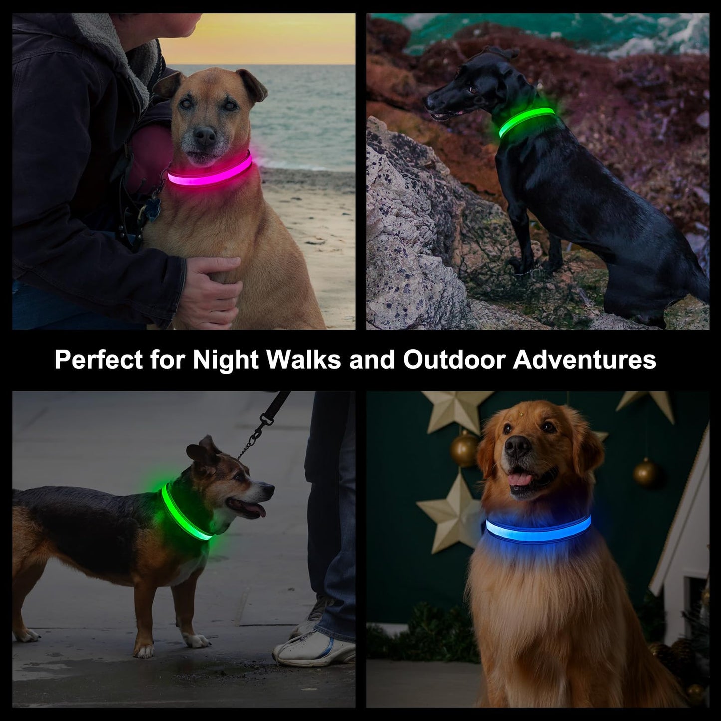 Light Up Dog Collar, Multicolor LED Dog Collar with 7 Modes, USB-C Rechargeable Reflective Glow Collar, Waterproof & Adjustable Design with Battery Indicator for Safe Night Walks (Small)